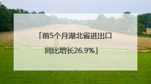 前5个月湖北省进出口同比增长26.9%