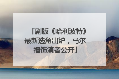 剧版《哈利波特》最新选角出炉，马尔福饰演者公开