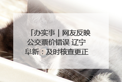 办实事｜网友反映公交票价错误 辽宁阜新：及时核查更正 加强实时巡检