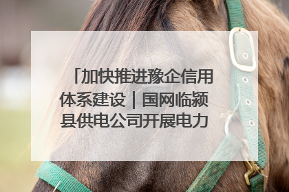 加快推进豫企信用体系建设｜国网临颍县供电公司开展电力行业信用企业现场咨询访谈工作