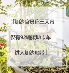 加沙官员称三天内仅有92辆援助卡车进入加沙地带