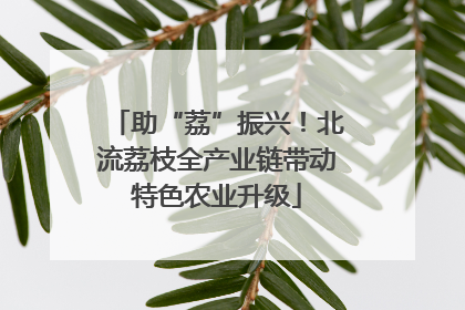 助“荔”振兴！北流荔枝全产业链带动特色农业升级