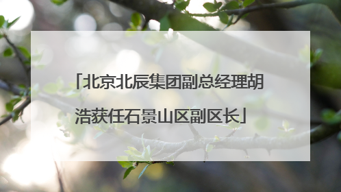 北京北辰集团副总经理胡浩获任石景山区副区长