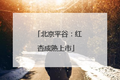 北京平谷：红杏成熟上市