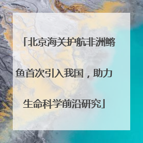 北京海关护航非洲鳉鱼首次引入我国，助力生命科学前沿研究