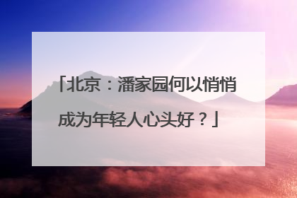 北京：潘家园何以悄悄成为年轻人心头好？