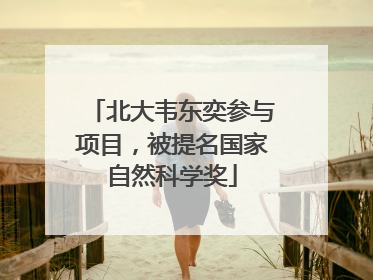 北大韦东奕参与项目，被提名国家自然科学奖