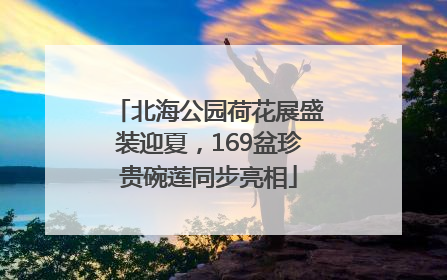 北海公园荷花展盛装迎夏，169盆珍贵碗莲同步亮相