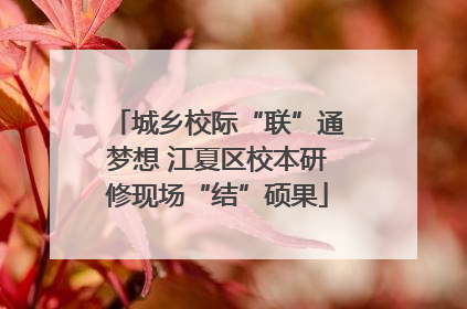 城乡校际“联”通梦想 江夏区校本研修现场“结”硕果