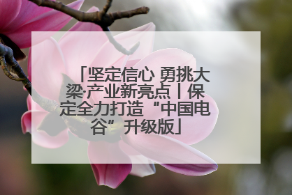 坚定信心 勇挑大梁·产业新亮点丨保定全力打造“中国电谷”升级版