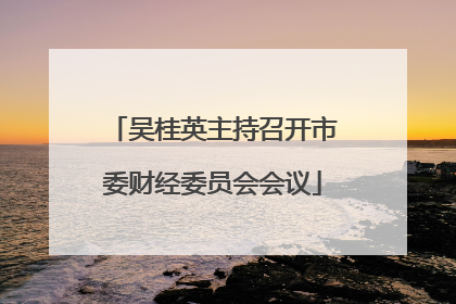 吴桂英主持召开市委财经委员会会议