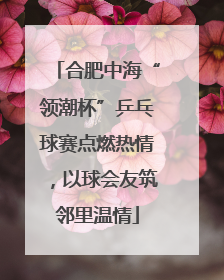 合肥中海“领潮杯”乒乓球赛点燃热情，以球会友筑邻里温情