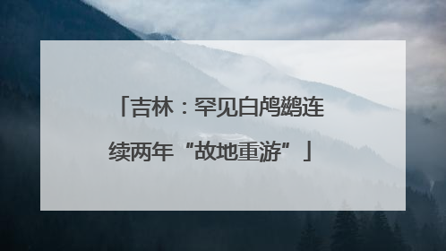 吉林：罕见白鸬鹚连续两年“故地重游”