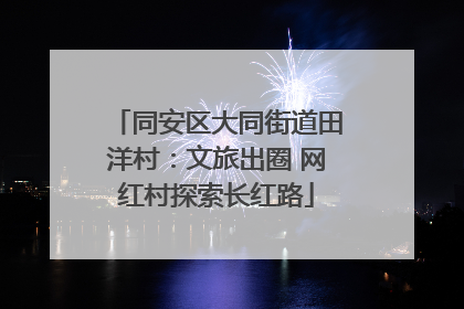 同安区大同街道田洋村：文旅出圈 网红村探索长红路