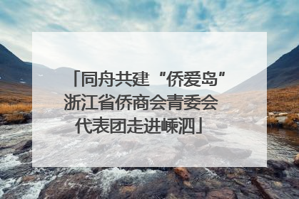同舟共建“侨爱岛” 浙江省侨商会青委会代表团走进嵊泗