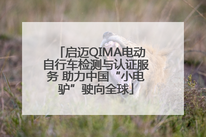 启迈QIMA电动自行车检测与认证服务 助力中国“小电驴”驶向全球