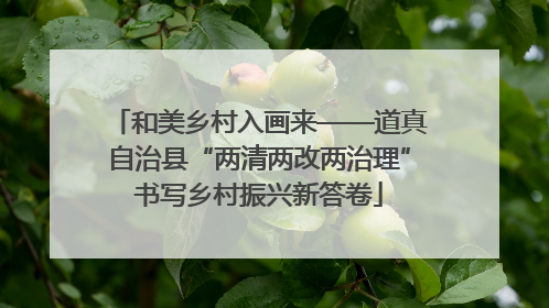 和美乡村入画来——道真自治县“两清两改两治理”书写乡村振兴新答卷