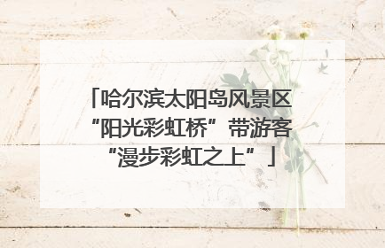 哈尔滨太阳岛风景区“阳光彩虹桥”带游客“漫步彩虹之上”