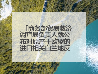 商务部贸易救济调查局负责人就公布对原产于欧盟的进口相关白兰地反倾销调查最终裁定答记者问