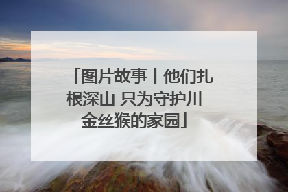 图片故事丨他们扎根深山 只为守护川金丝猴的家园