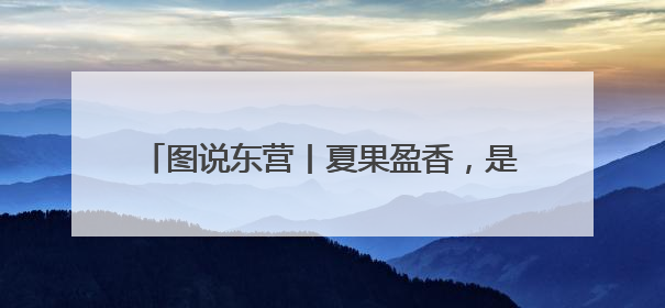 图说东营丨夏果盈香，是盐碱地写给舌尖的情书