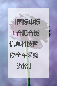 围标串标！合肥合能信息科技暂停全军采购资格