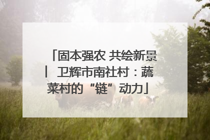 固本强农 共绘新景 ︳卫辉市南社村：蔬菜村的“链”动力
