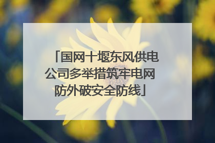 国网十堰东风供电公司多举措筑牢电网防外破安全防线