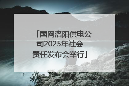国网洛阳供电公司2025年社会责任发布会举行