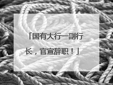 国有大行一副行长，官宣辞职！