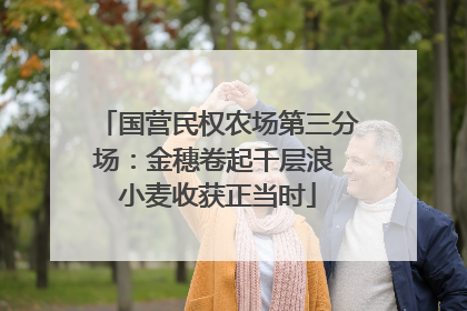 国营民权农场第三分场：金穗卷起千层浪 小麦收获正当时