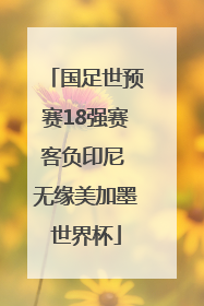 国足世预赛18强赛客负印尼 无缘美加墨世界杯