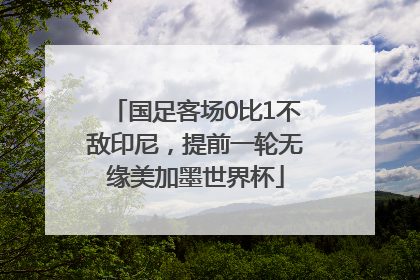 国足客场0比1不敌印尼，提前一轮无缘美加墨世界杯