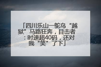 四川乐山一鸵鸟“越狱”马路狂奔，目击者：时速超40码，还对我“笑”了下