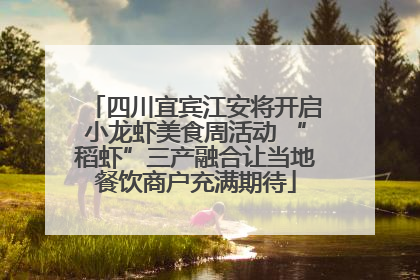 四川宜宾江安将开启小龙虾美食周活动 “稻虾”三产融合让当地餐饮商户充满期待