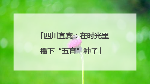 四川宜宾：在时光里播下“五育”种子