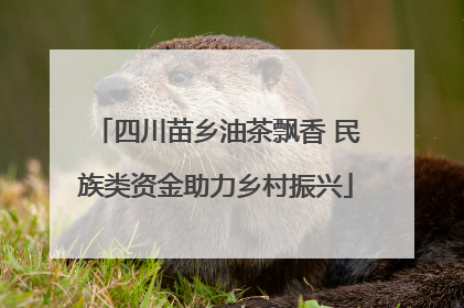 四川苗乡油茶飘香 民族类资金助力乡村振兴