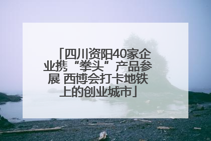 四川资阳40家企业携“拳头”产品参展 西博会打卡地铁上的创业城市
