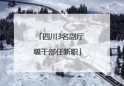 四川3名副厅级干部任新职