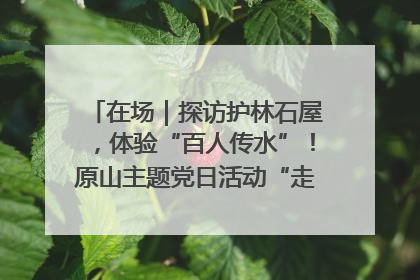 在场｜探访护林石屋，体验“百人传水”！原山主题党日活动“走新”更“走心”