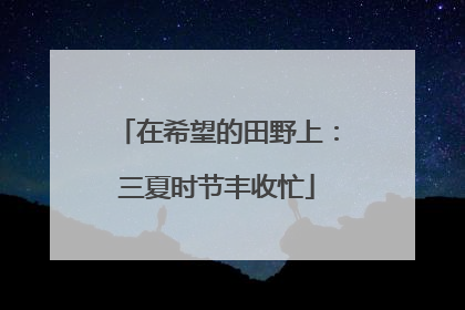 在希望的田野上：三夏时节丰收忙