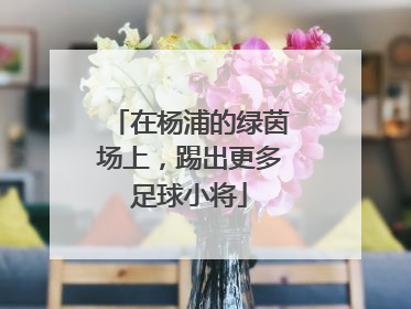 在杨浦的绿茵场上，踢出更多足球小将