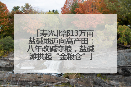 寿光北部13万亩盐碱地迈向高产田：八年改碱夺粮，盐碱滩拱起“金粮仓”