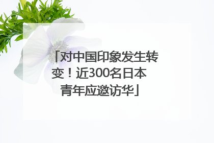 对中国印象发生转变！近300名日本青年应邀访华