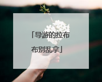 导游的拉布布别乱拿
