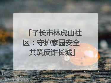 子长市林虎山社区：守护家园安全 共筑反诈长城