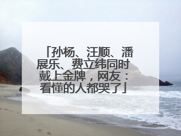 孙杨、汪顺、潘展乐、费立纬同时戴上金牌，网友：看懂的人都哭了