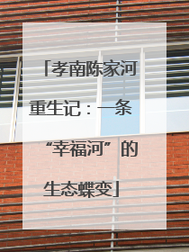 孝南陈家河重生记：一条“幸福河”的生态蝶变