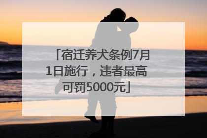 宿迁养犬条例7月1日施行，违者最高可罚5000元