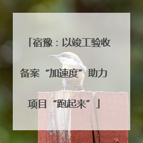 宿豫：以竣工验收备案“加速度”助力项目“跑起来”